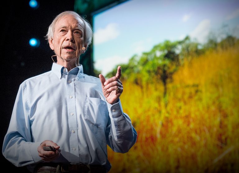 Hoe maken we woestijnen groen en gaan we klimaatverandering omkeren?